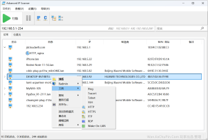 Advanced IP Scanner-局域网扫描工具